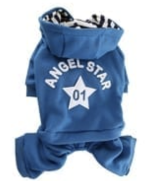 Puppy Angel Angel Star Tracksuit in Blue